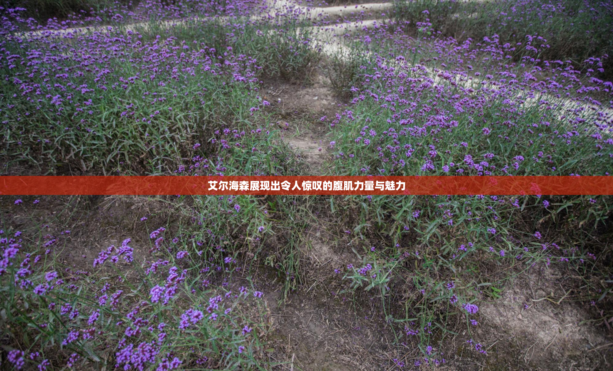 艾尔海森展现出令人惊叹的腹肌力量与魅力