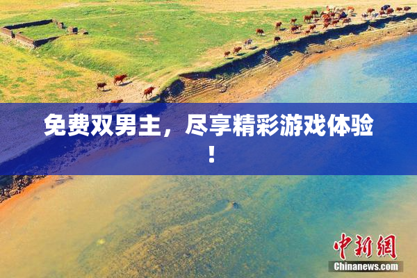 免费双男主，尽享精彩游戏体验！