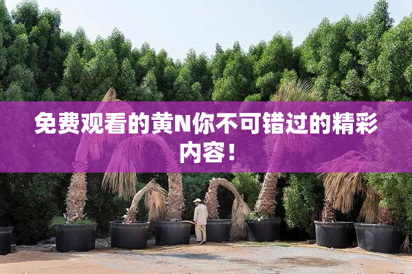 免费观看的黄Ν你不可错过的精彩内容！