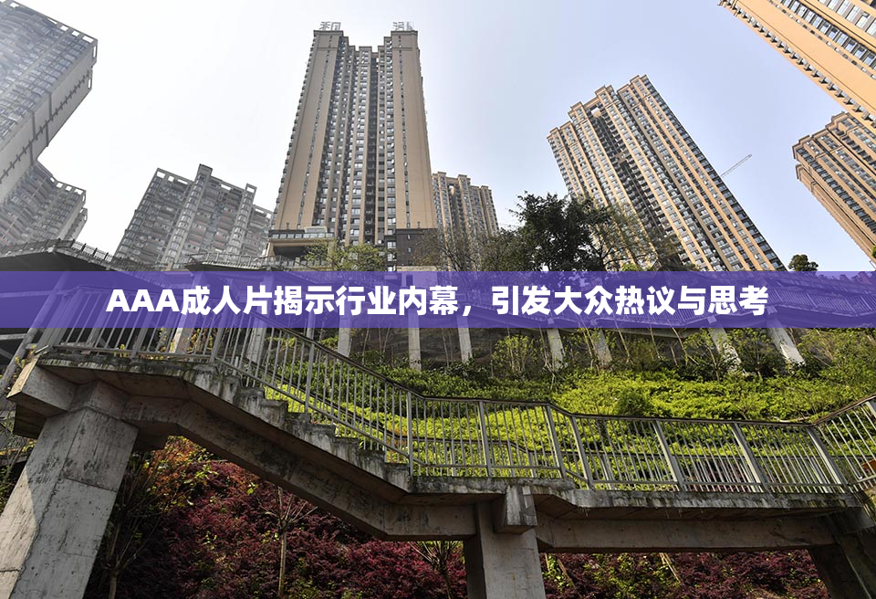 AAA成人片揭示行业内幕，引发大众热议与思考