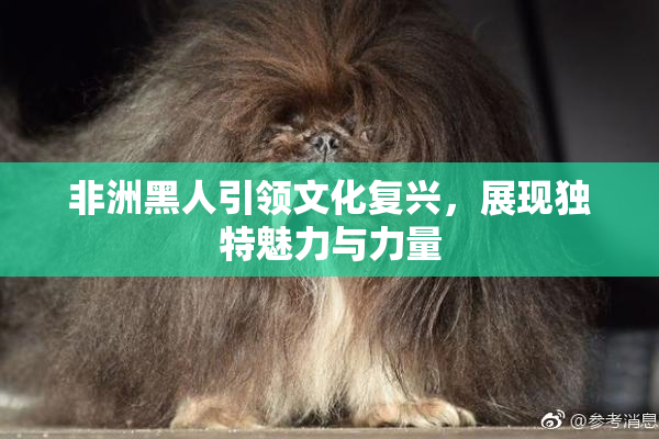 非洲黑人引领文化复兴，展现独特魅力与力量