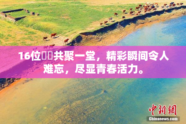 16位妺妺共聚一堂，精彩瞬间令人难忘，尽显青春活力。