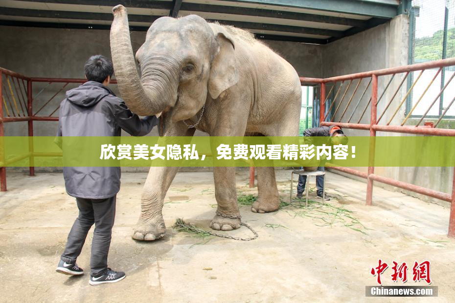 欣赏美女隐私，免费观看精彩内容！
