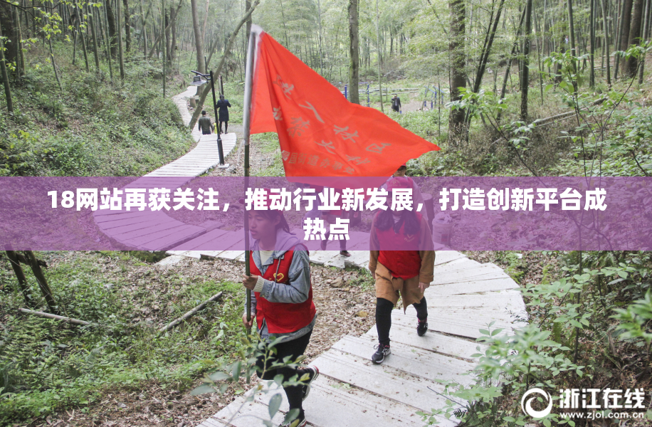18网站再获关注，推动行业新发展，打造创新平台成热点