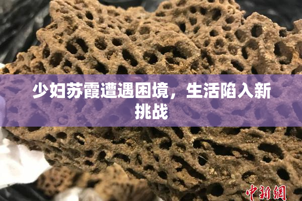 少妇苏霞遭遇困境，生活陷入新挑战