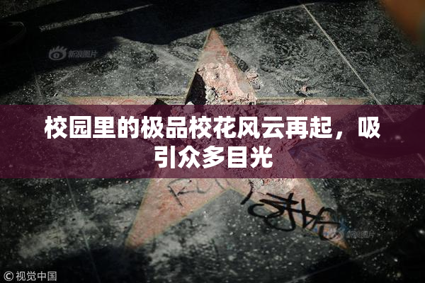 校园里的极品校花风云再起，吸引众多目光