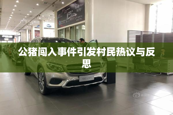 公猪闯入事件引发村民热议与反思