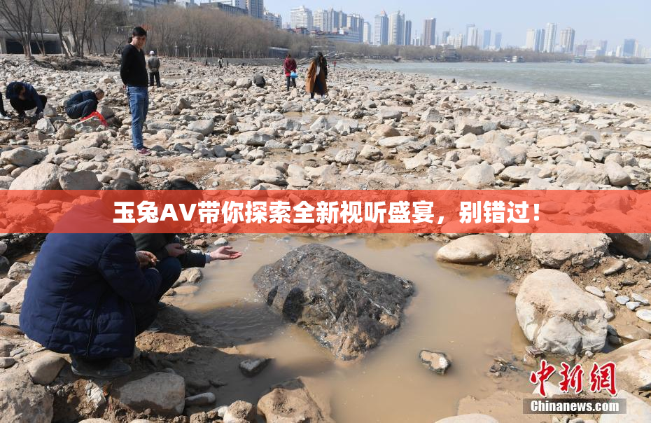 玉兔AV带你探索全新视听盛宴，别错过！