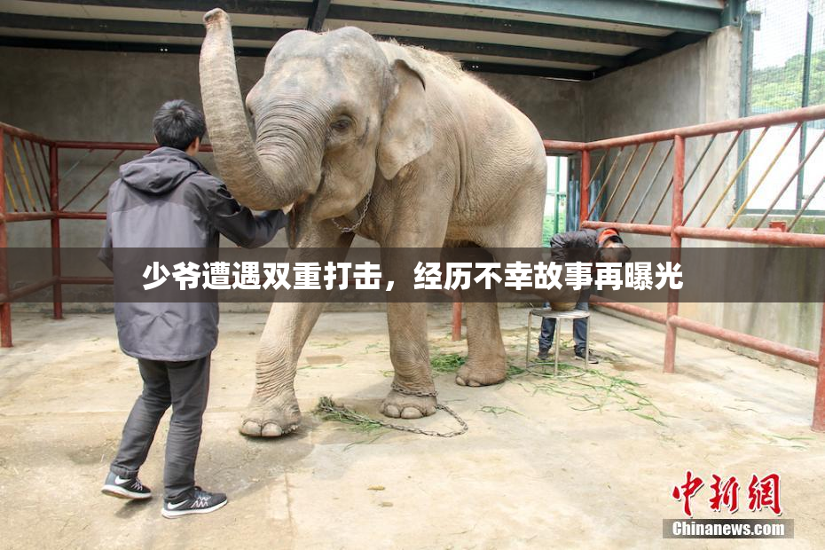 少爷遭遇双重打击，经历不幸故事再曝光