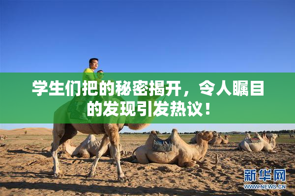 学生们把的秘密揭开，令人瞩目的发现引发热议！