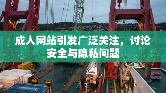 成人网站引发广泛关注，讨论安全与隐私问题