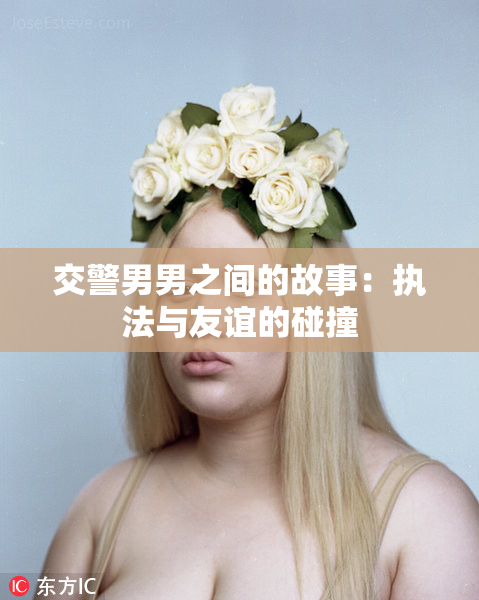 交警男男之间的故事：执法与友谊的碰撞