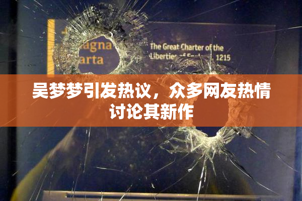 吴梦梦引发热议，众多网友热情讨论其新作