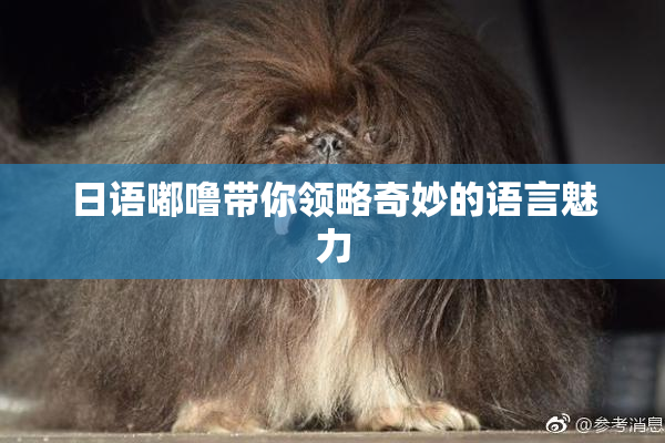 日语嘟噜带你领略奇妙的语言魅力