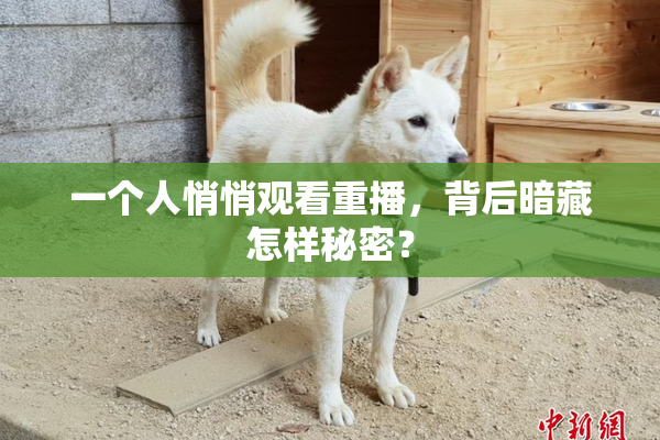 一个人悄悄观看重播，背后暗藏怎样秘密？