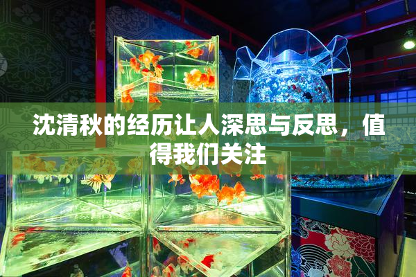 沈清秋的经历让人深思与反思，值得我们关注