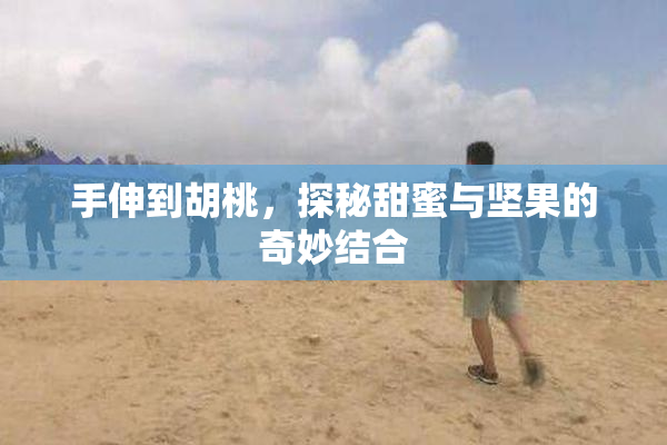 手伸到胡桃，探秘甜蜜与坚果的奇妙结合