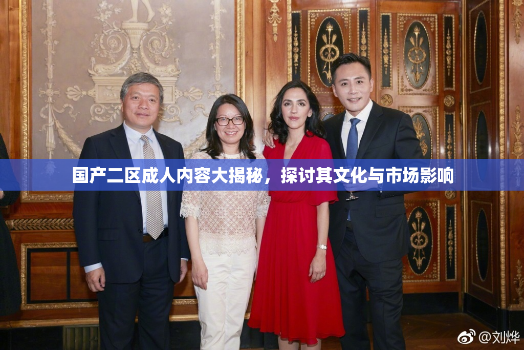 国产二区成人内容大揭秘，探讨其文化与市场影响