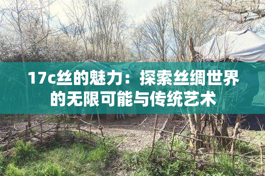 17c丝的魅力：探索丝绸世界的无限可能与传统艺术