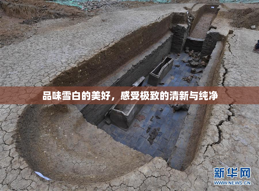 品味雪白的美好，感受极致的清新与纯净