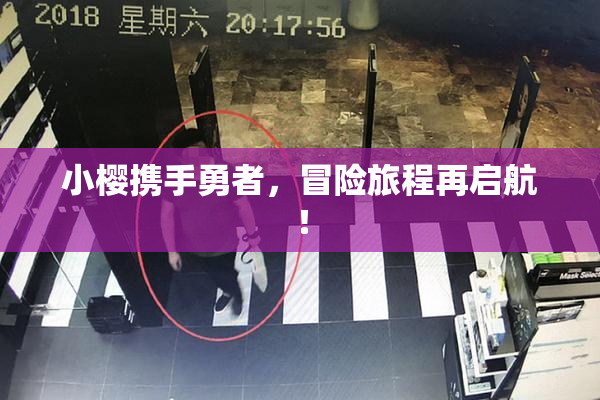 小樱携手勇者，冒险旅程再启航！
