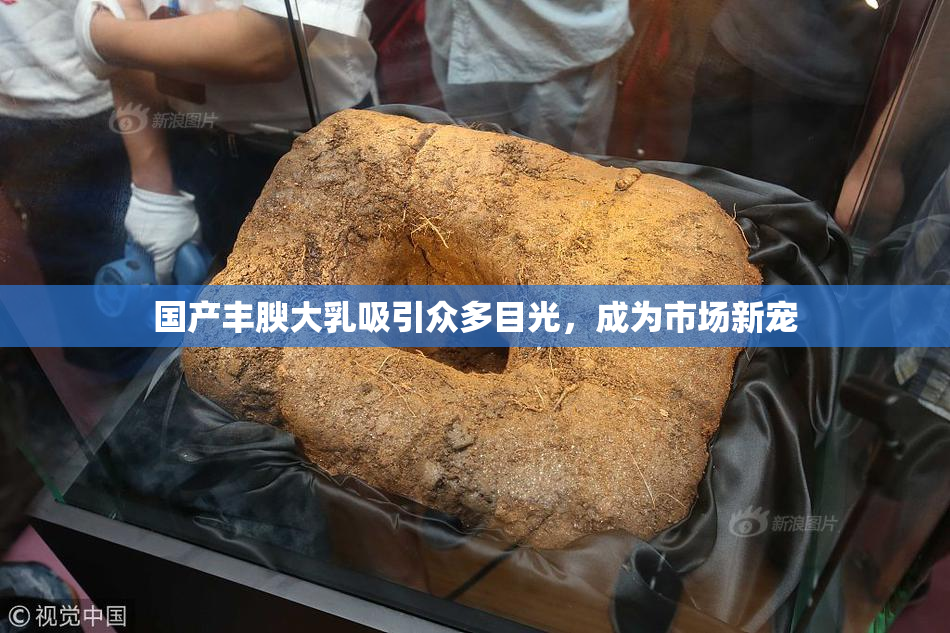 国产丰腴大乳吸引众多目光，成为市场新宠