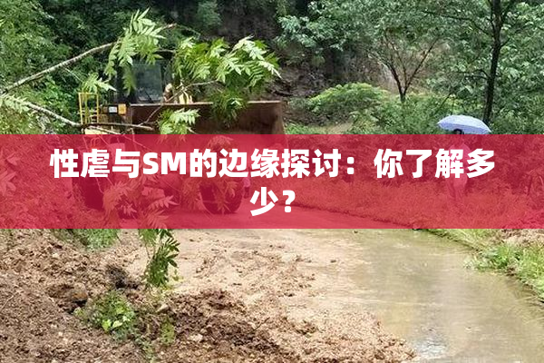 性虐与SM的边缘探讨：你了解多少？