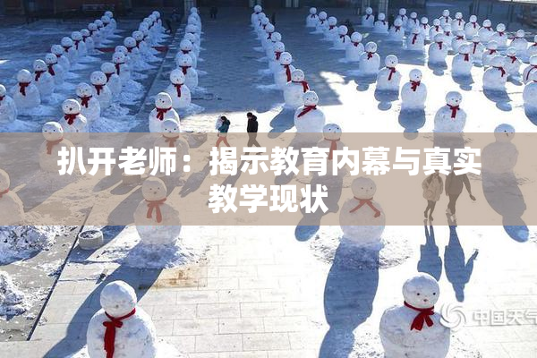 扒开老师：揭示教育内幕与真实教学现状