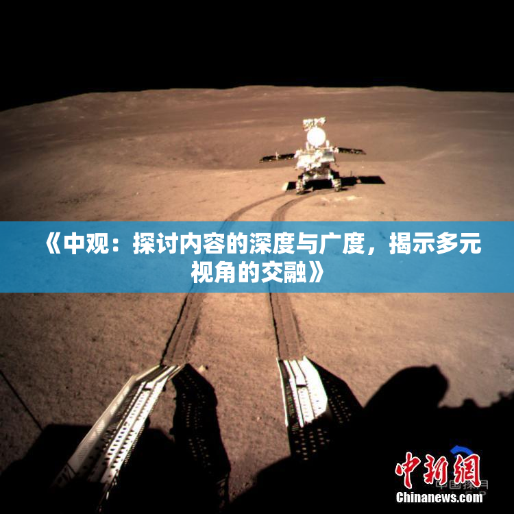 《中观：探讨内容的深度与广度，揭示多元视角的交融》