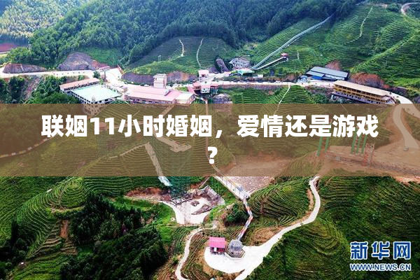 联姻11小时婚姻，爱情还是游戏？