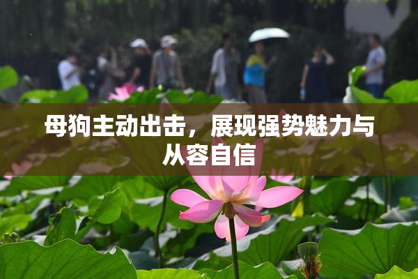 母狗主动出击，展现强势魅力与从容自信