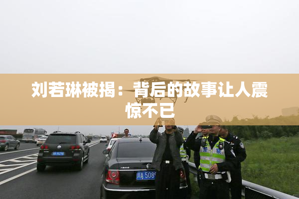 刘若琳被揭：背后的故事让人震惊不已