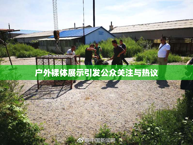 户外裸体展示引发公众关注与热议