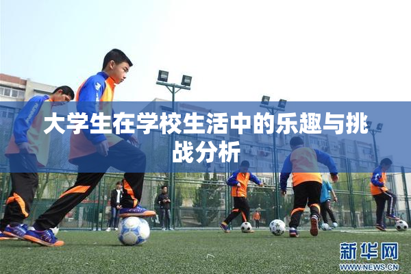 大学生在学校生活中的乐趣与挑战分析