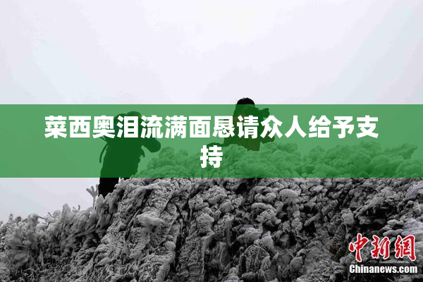 菜西奥泪流满面恳请众人给予支持