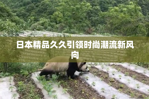 日本精品久久引领时尚潮流新风向
