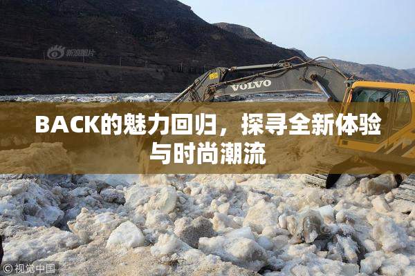 BACK的魅力回归，探寻全新体验与时尚潮流