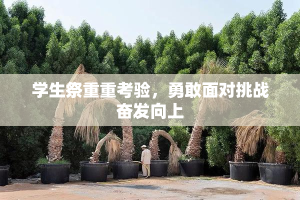 学生祭重重考验，勇敢面对挑战奋发向上