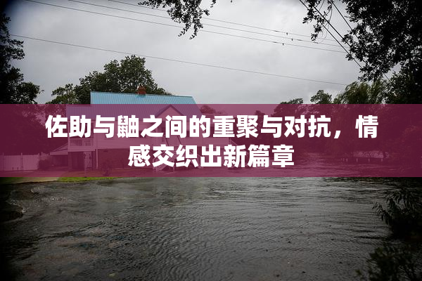 佐助与鼬之间的重聚与对抗，情感交织出新篇章