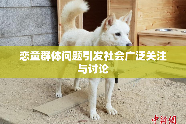 恋童群体问题引发社会广泛关注与讨论