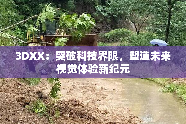 3DXX：突破科技界限，塑造未来视觉体验新纪元