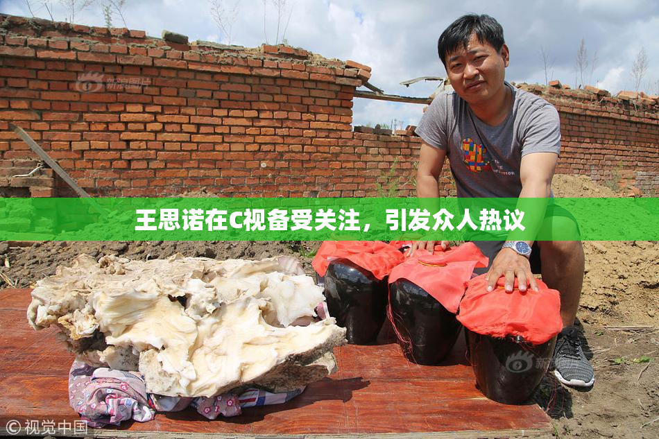 王思诺在C视备受关注，引发众人热议