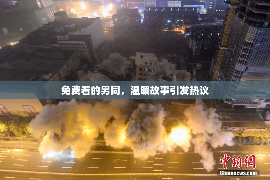 免费看的男同，温暖故事引发热议