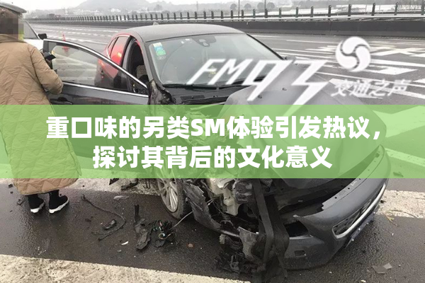 重口味的另类SM体验引发热议，探讨其背后的文化意义