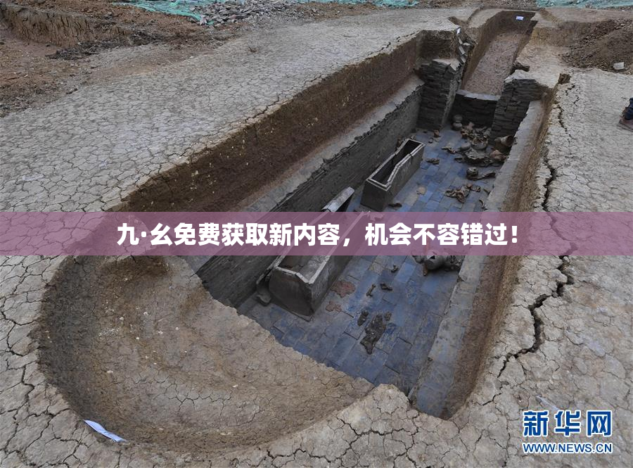 九·幺免费获取新内容，机会不容错过！