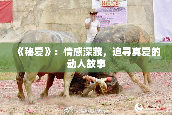 《秘爱》：情感深藏，追寻真爱的动人故事