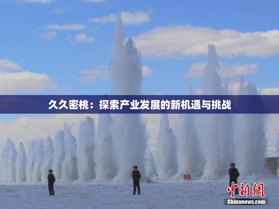久久密桃：探索产业发展的新机遇与挑战