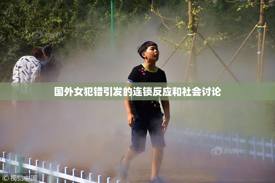 国外女犯错引发的连锁反应和社会讨论