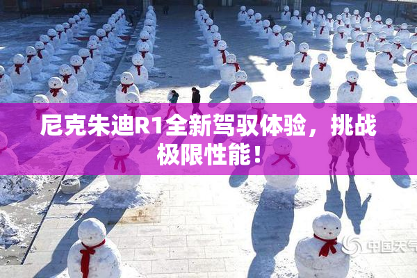 尼克朱迪R1全新驾驭体验，挑战极限性能！