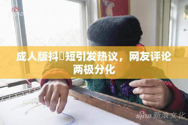 成人版抖抈短引发热议，网友评论两极分化